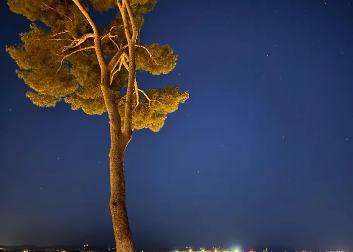 Nid Douillet Vue Apartment Hyeres