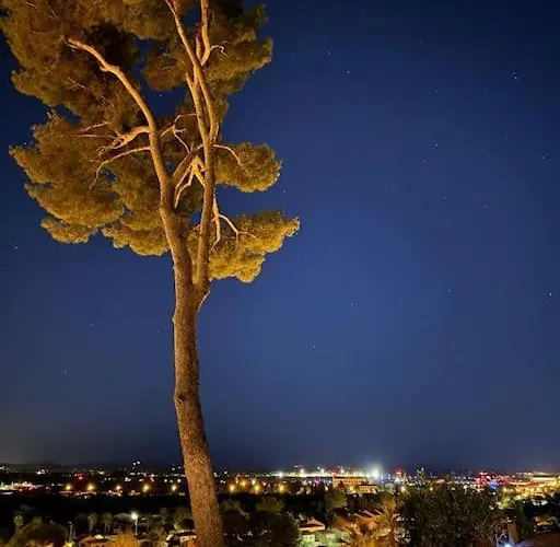 Nid Douillet Vue Hyeres